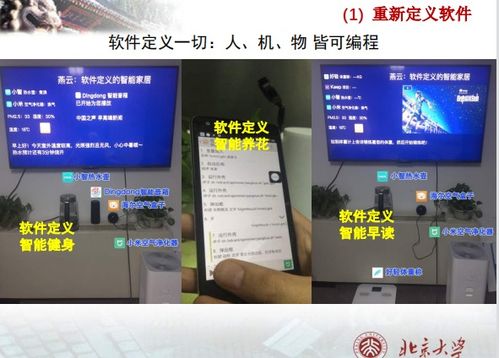 北京大學(xué)軟件工程課程解析 從軟件開(kāi)發(fā)到技術(shù)服務(wù)框架